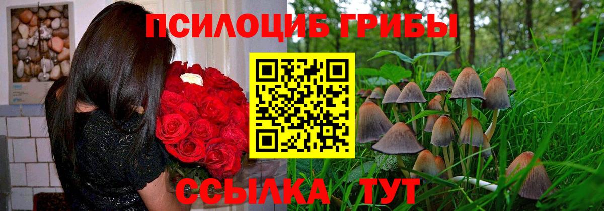 где можно купить   Псилоцибиновые грибы мухоморы  Вход с VPN  Сорочинск 